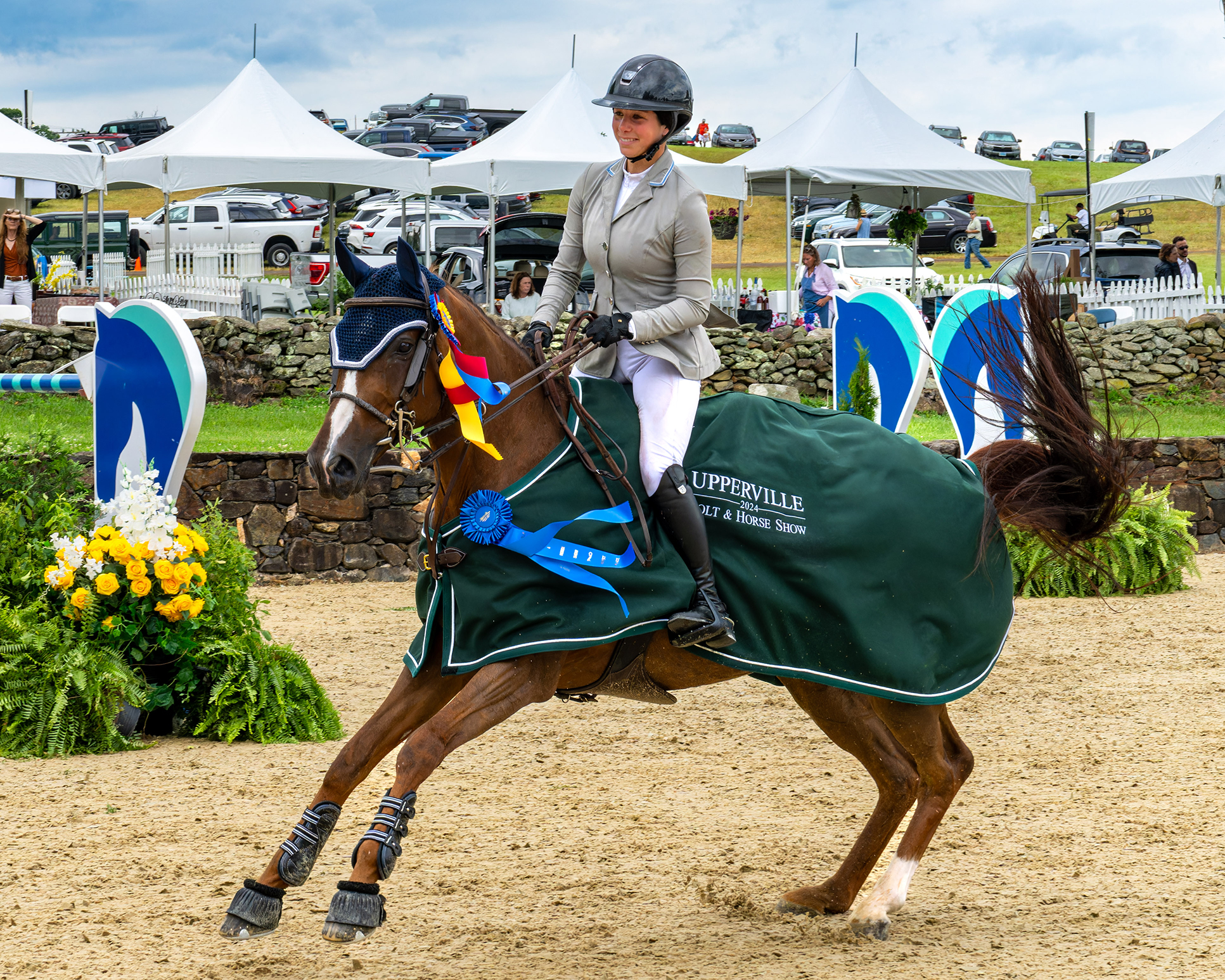 Jumper Horse